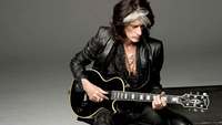 Joe  Perry profile picture