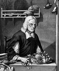 Georgius Everhardus Rumphius