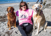Judy Fridono profile picture