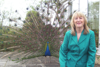 Jenny Smedley