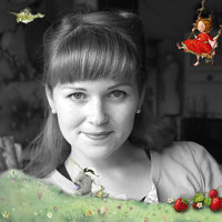 Stefanie Dahle profile picture