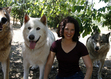 Ebook Spirit of the Wolves: A Novel read Online! Ebook Spirit of the Wolves: A Novel read Online!