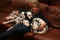 Linda Gray Sexton profile picture