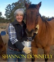 Ebook A Dangerous Compromise read Online! Ebook A Dangerous Compromise read Online!