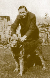 A.E. Dingle