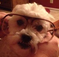 D.B. Tarpley profile picture