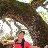 Gretchen K. Wing profile picture