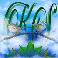Kathryn Sparrow profile picture