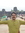 Anup Ku...