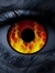 Ebook Bloodwalker read Online! Ebook Bloodwalker read Online!