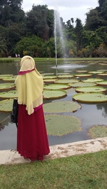 Laini Laitu
