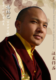 Ogyen Trinley Dorje profile picture