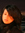 Haifa M...