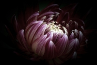 Marie McKean profile picture