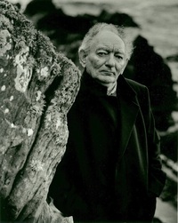 Brian Friel profile picture