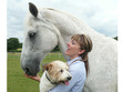 Ebook The Animal Healer read Online! Ebook The Animal Healer read Online!