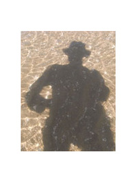 Paul Dijstelberge profile picture