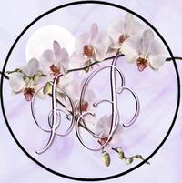 Denyse Bridger profile picture
