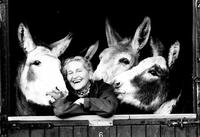 Elisabeth D. Svendsen profile picture