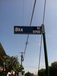 Jamie Blix