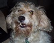 Sandra Dubay profile picture