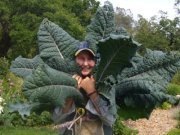 Jane Futcher profile picture