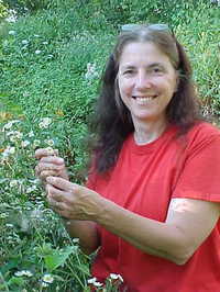 Anita Sanchez profile picture