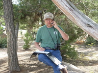 Mark Gross profile picture