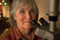Sondra Barrett profile picture
