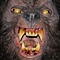 Cinsearae S. profile picture