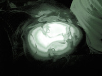 Wolfram Donat profile picture