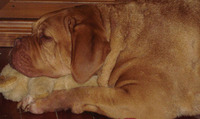 Katri Cardew profile picture