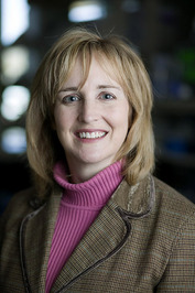 Laura A. Hansen profile picture