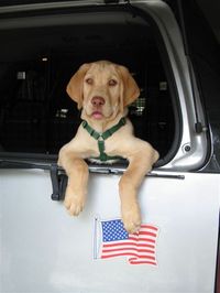 Charles Frankhauser profile picture