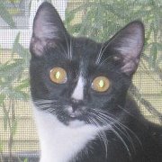 Shannon Haddock profile picture