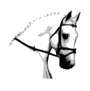 Kate Wyland profile picture