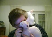 Ann-Merit Blum profile picture