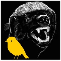 Robin and the Honey Badger