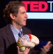 Michael E.  Silverman