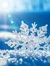 Wylie Snow