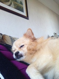 Mia  Campbell profile picture