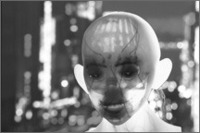Dan Dinello profile picture