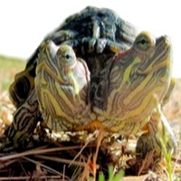 Jeffrey   Reid profile picture