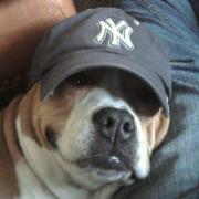 Marco Berrios profile picture