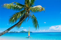 ابتهال بخيت الرقم