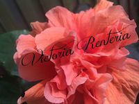 Victoria Renteria