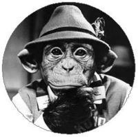Seth Hettena profile picture