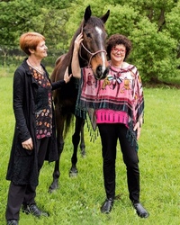 Gillian Wills profile picture