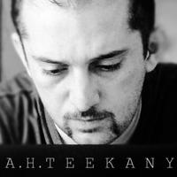 امیرحسین تیکنی