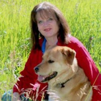 Nanci Turner Steveson profile picture